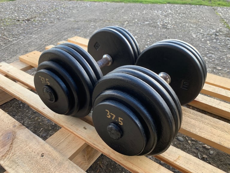 2 x 37.5kg Cast Iron Dumbbells