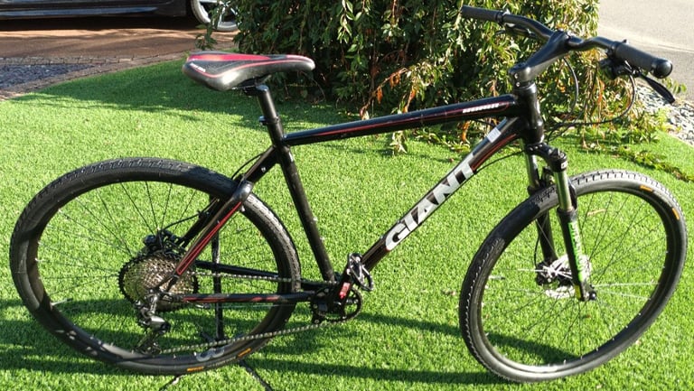 image for Large Mountain Bike