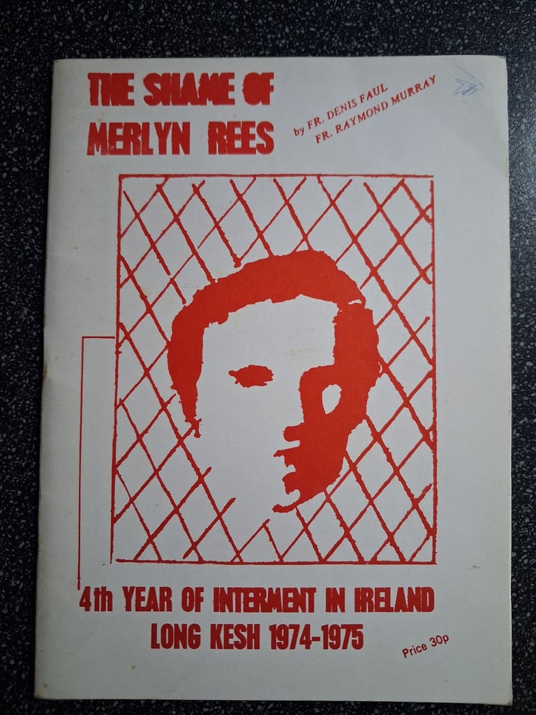 The Shame of Merlyn Rees 