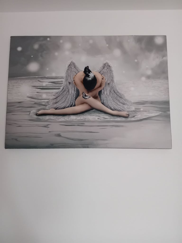 2 x glittery angel pictures