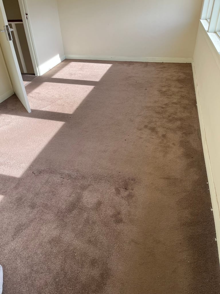 Carpets in very good condition