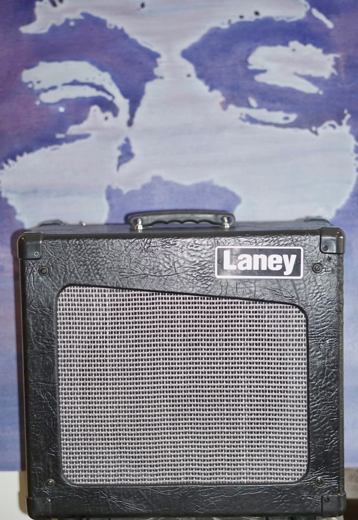 Laney Cub 12 valve amp