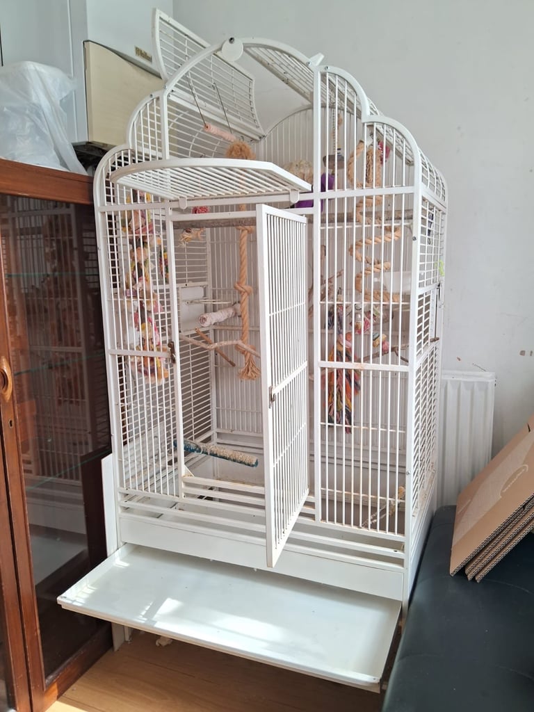 Extra large bird cage (5feet high and 2.5feet wide)