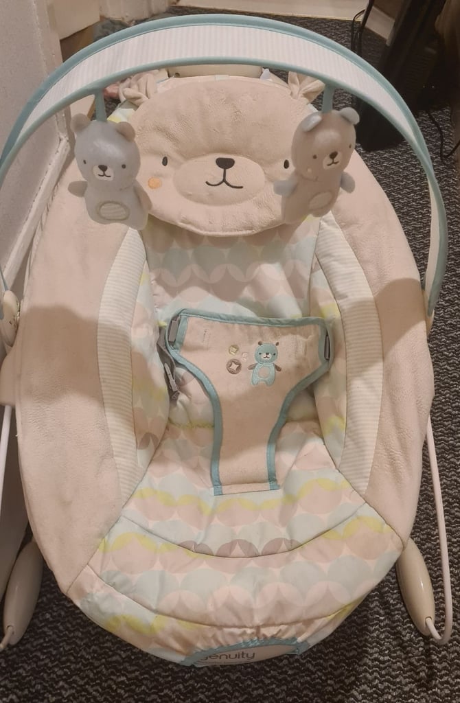 image for Ingenuity baby bouncer