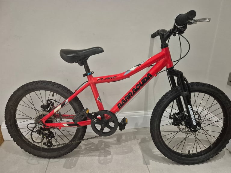 image for Childrens 20 inch Bike. 