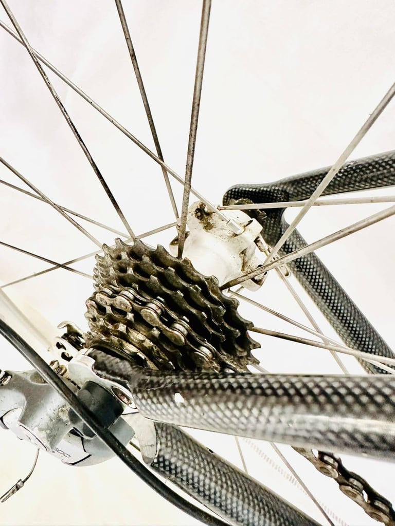 Gx  CUGAR Belgian 🇧🇪 Champion size 56 cm Full  Shimano 105 Groupset