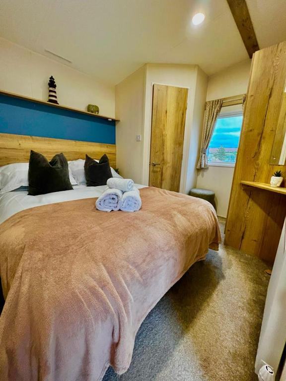 ABI Coworth (2021) Static Caravan on Newquay Bay Resort, Cornwall