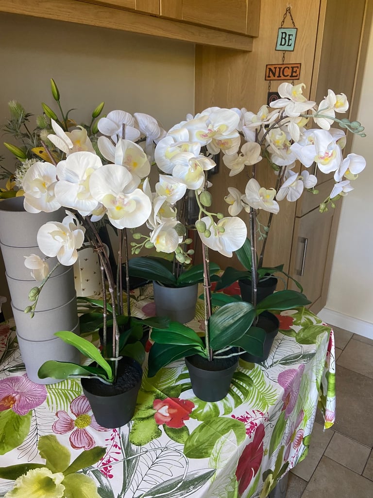 image for 6 Faux Potted Orchids - (Grey Plant Pots Also Available) 