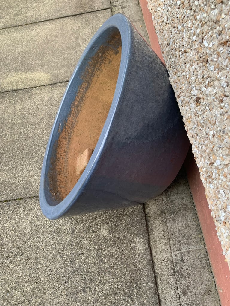 Blue garden plant pot