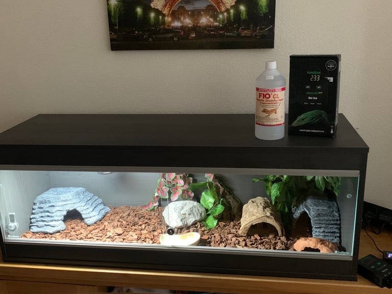 Vivarium for geckos