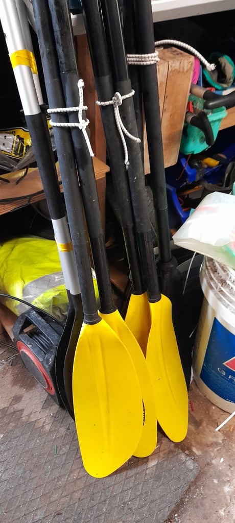 Canoeing dinghy paddles 