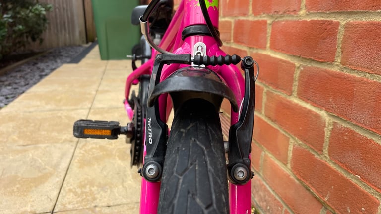 Frog 48 children’s bike - pink