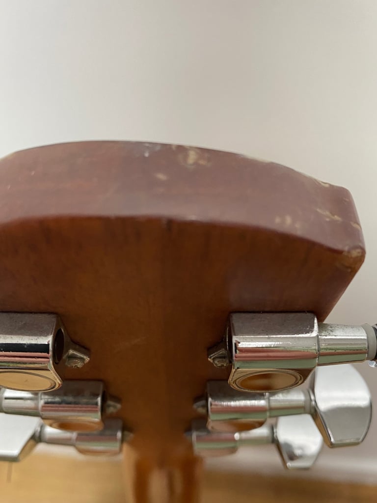 Left-Handed Acoustic Guitar (Alvarez)