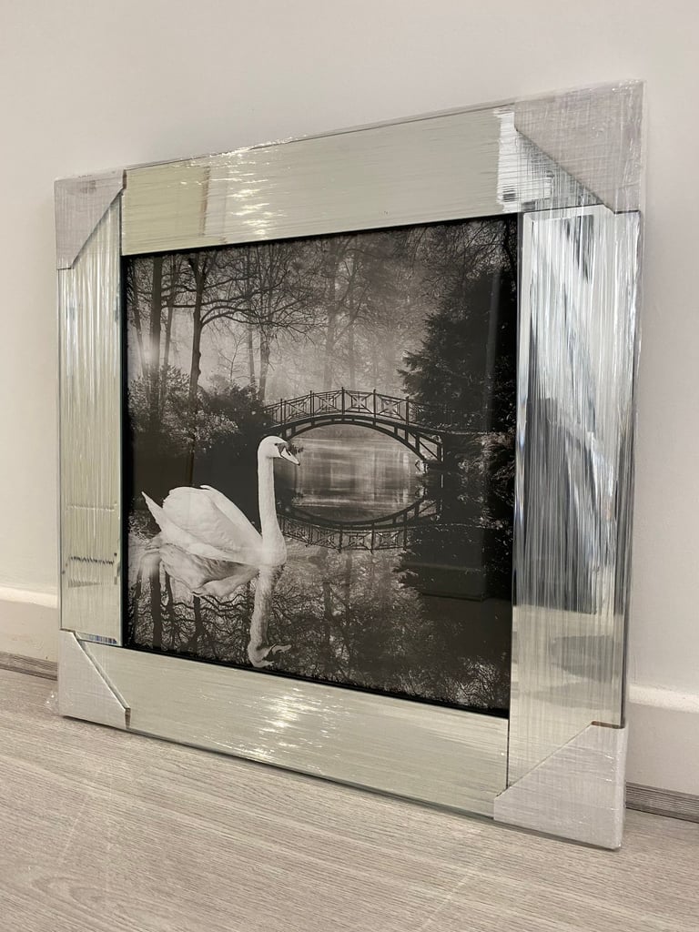 Black & White Swan - Mirror Framed Picture (55 x 55cm)