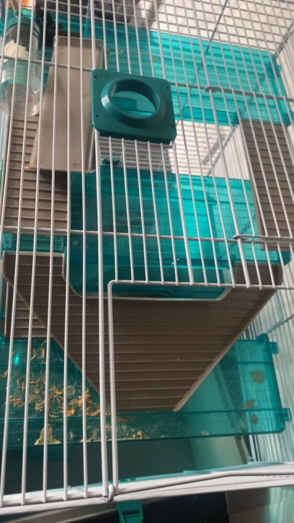 Hamster cage 