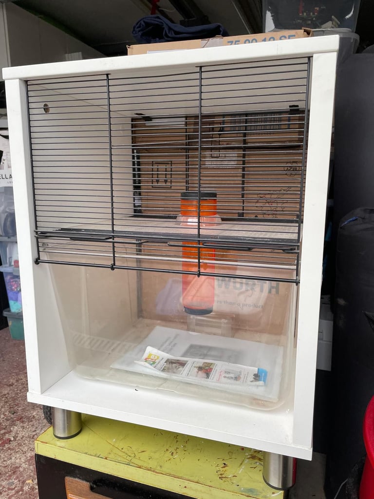 Omlet cage for gerbil