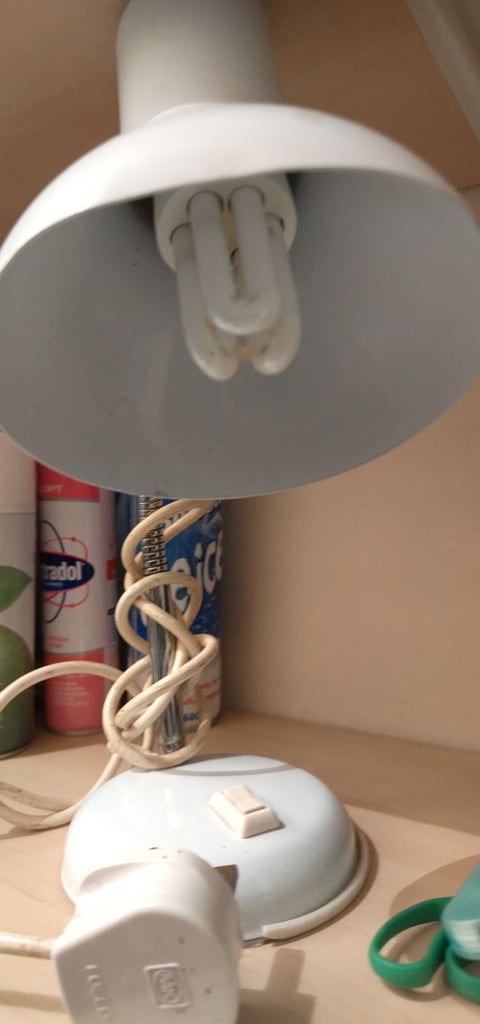 Desk lamp