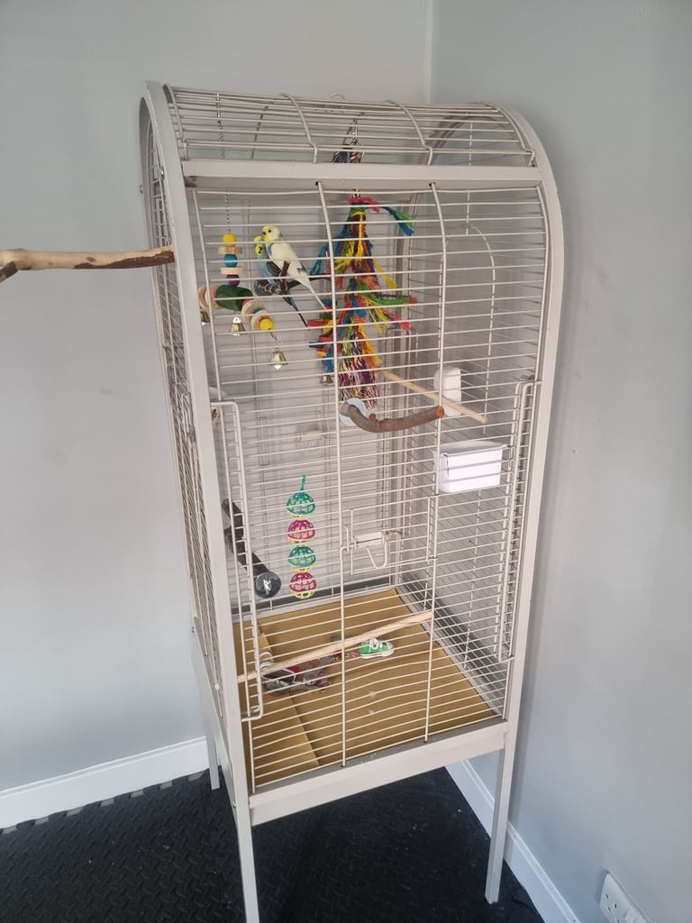 Parrot cage