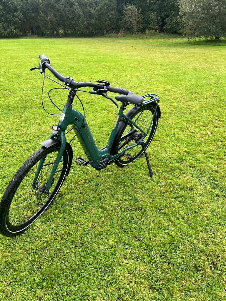 Ridgeback Electron s3 