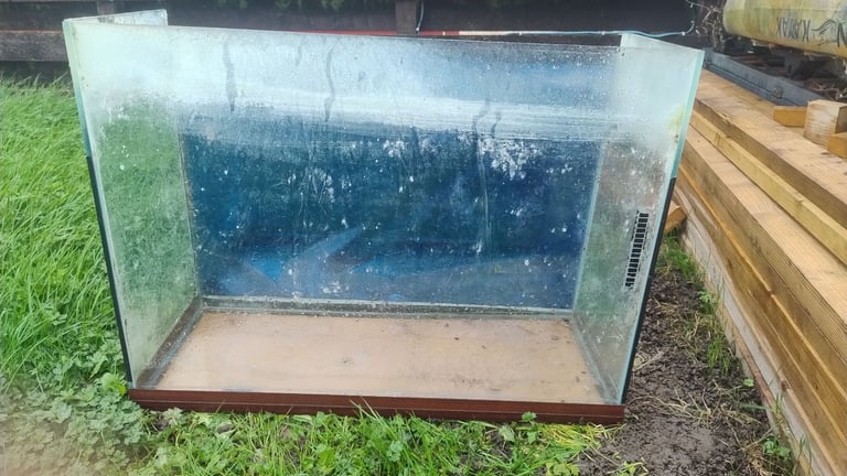 Free 100l aquarium 