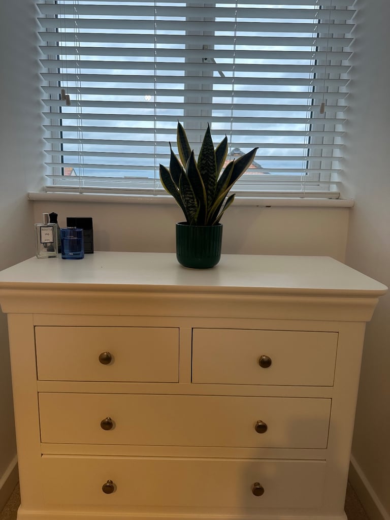 image for Green plant pot and plant