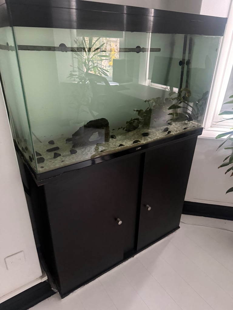 image for 200L Ciano Aquarium & Stand + External Filter & More!