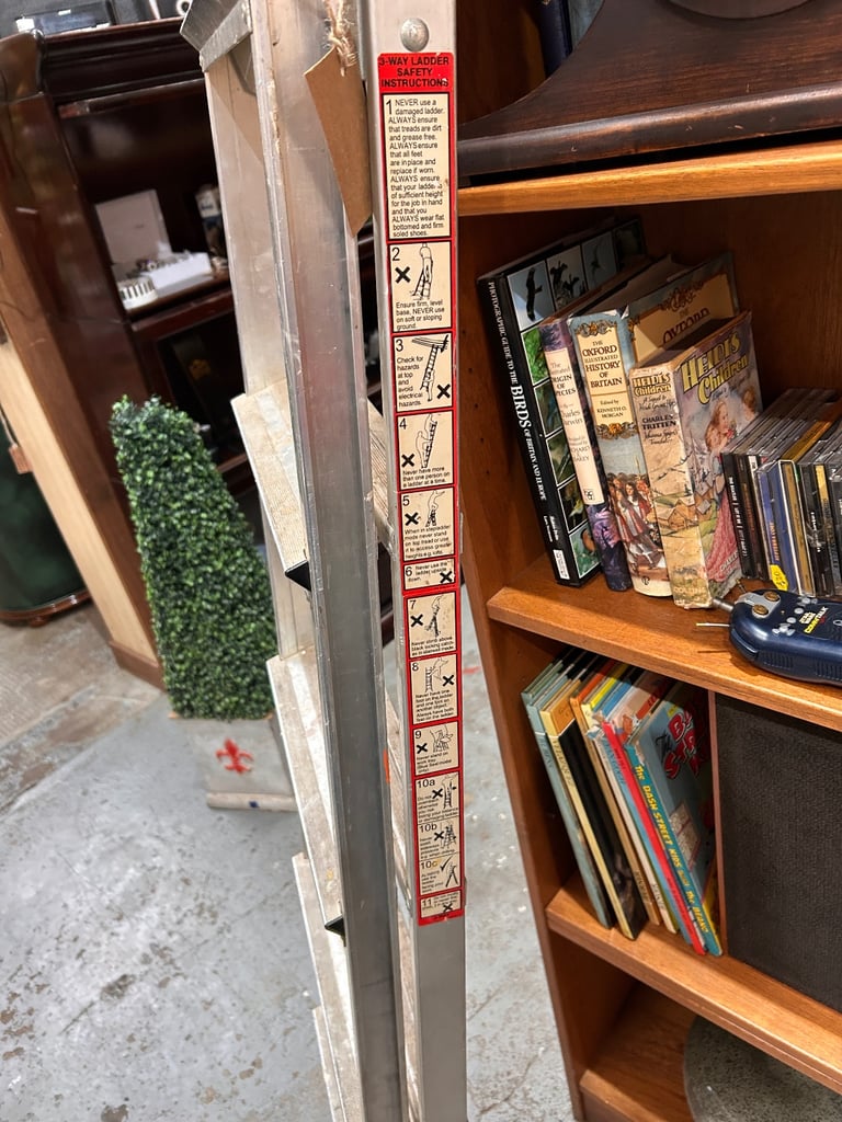 11 Step 3 Way Ladder