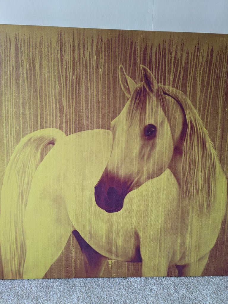 Wall art horse portrait Habitat brand