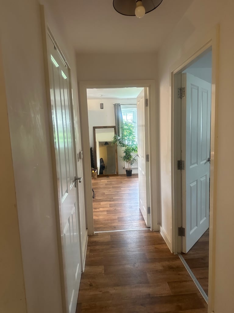image for 2 Bed Hawkhurst seeks 2/3 bed Kent/Sussex 