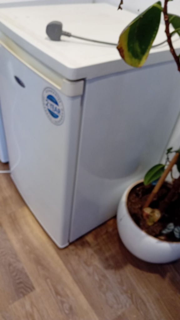 Ice king fridge  and freezer