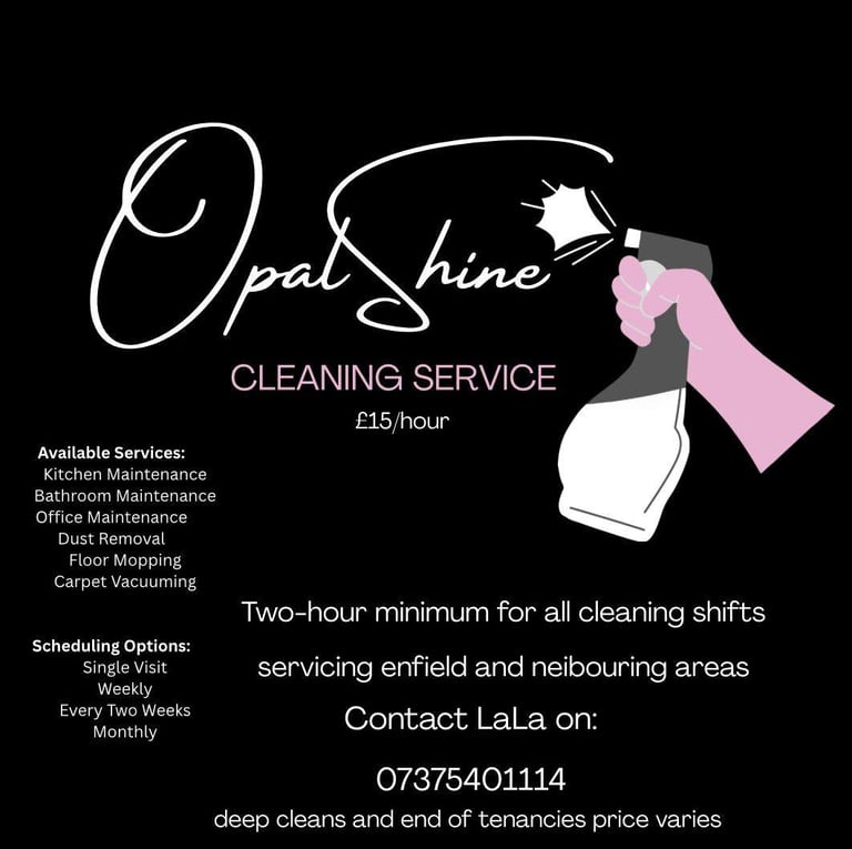 image for Domestic cleaner