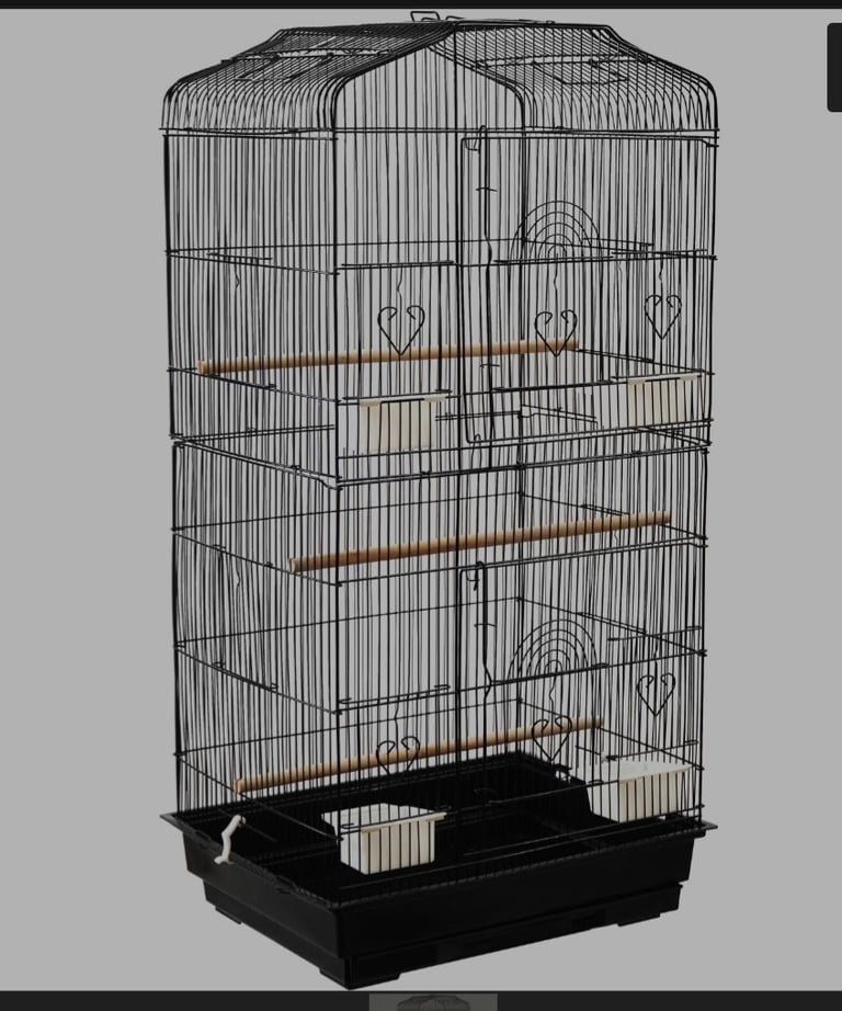 Bird cage