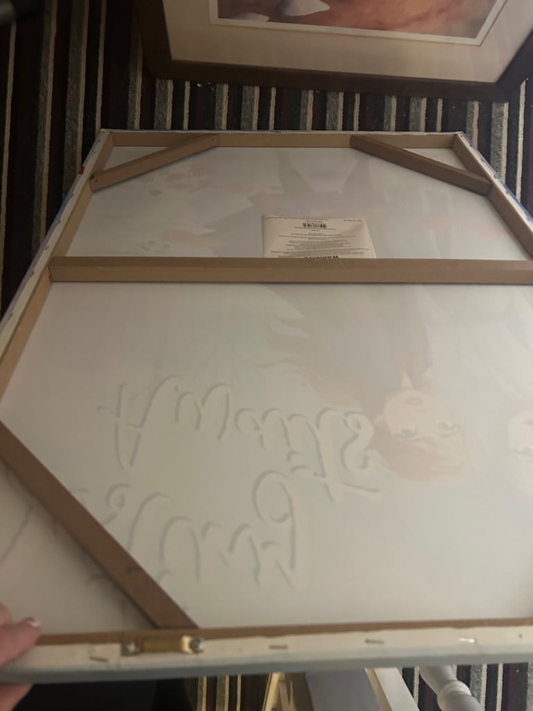 Frozen wall canvas 