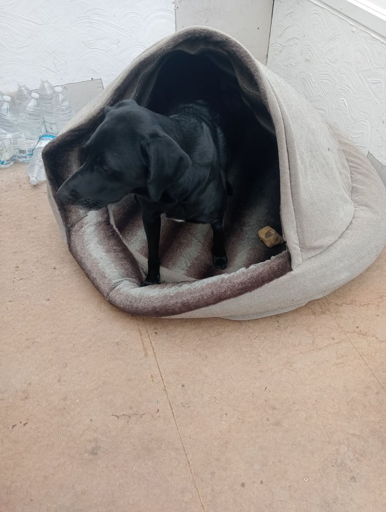 image for Luxury Deluxe Comfort Cocoon, Dog Bed, Extra Large 125cm Beige