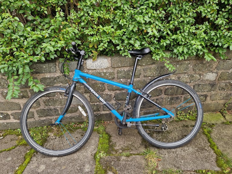 Frog 69 hybrid bike