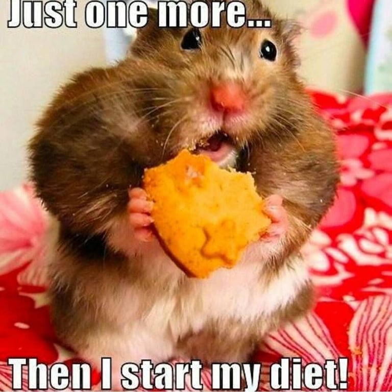 image for Whatsapp for Musicians in London :)