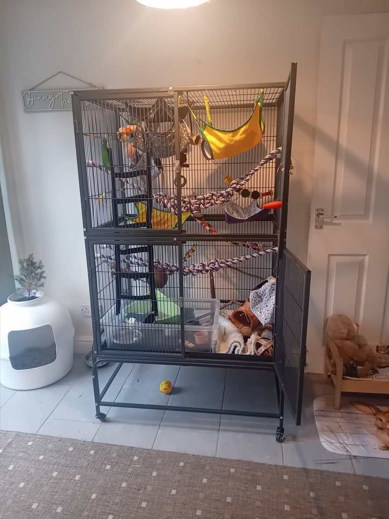 image for Double rat cage 