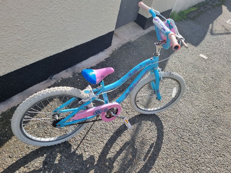 Schwinn kids bike. 