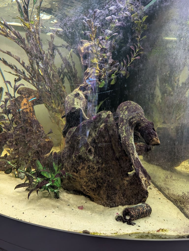 Juwel corner tank 