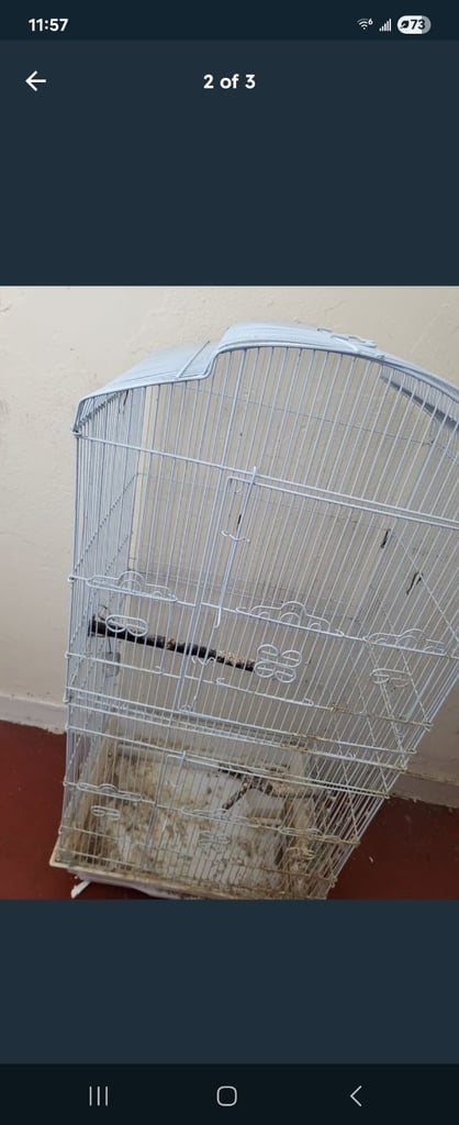 Used birdcage 