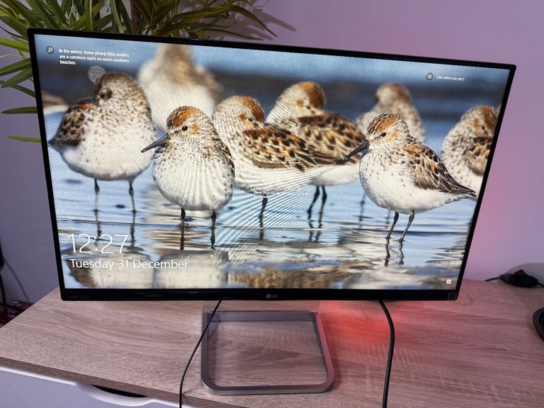LG HD 24inch IPS Cinema Screen Monitor - Model: 24MP77