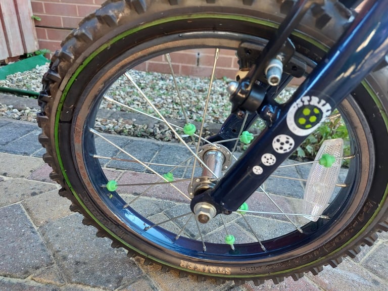 Raleigh Striker 16" Bicycle