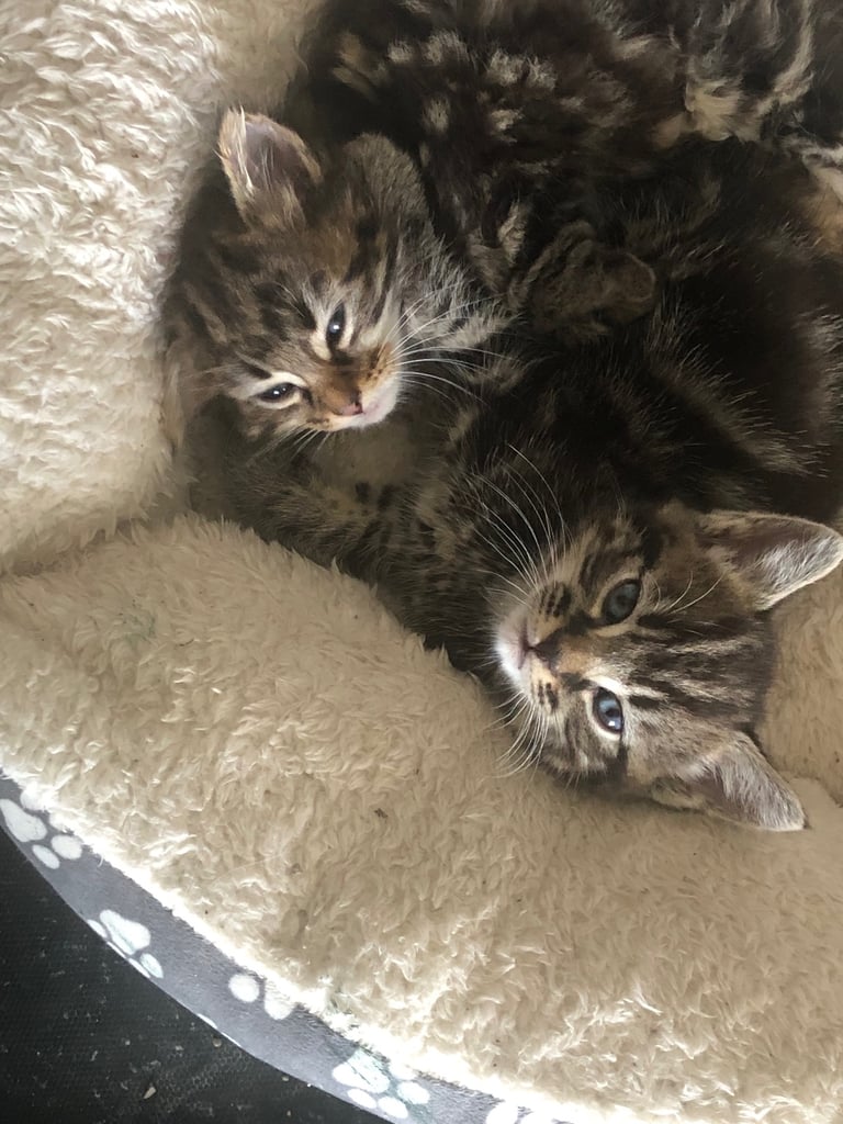 Ready to leave now !!!!!