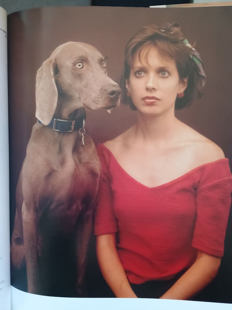  William Wegman - Weimaraner dog books