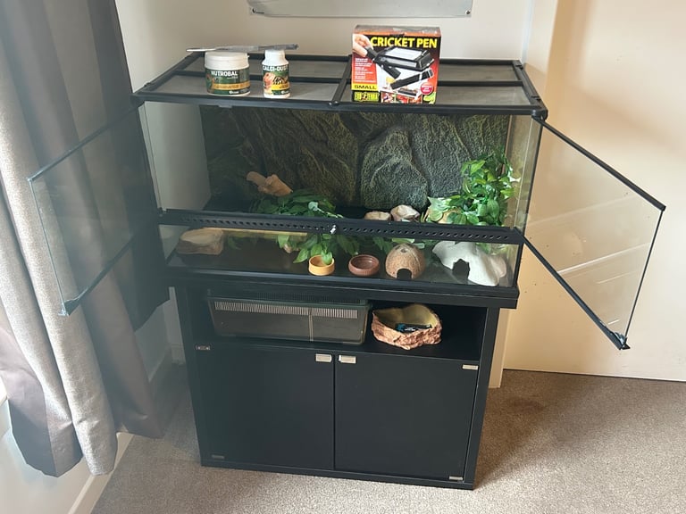 Ultimate Exo Terra Set (Terrarium, Cabinet, Faunarium, Accessories and Decorations). 