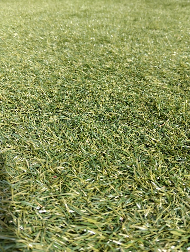 image for Artificial grass 