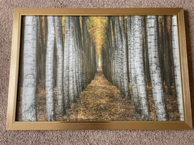Wall Picture - Gold Frame 