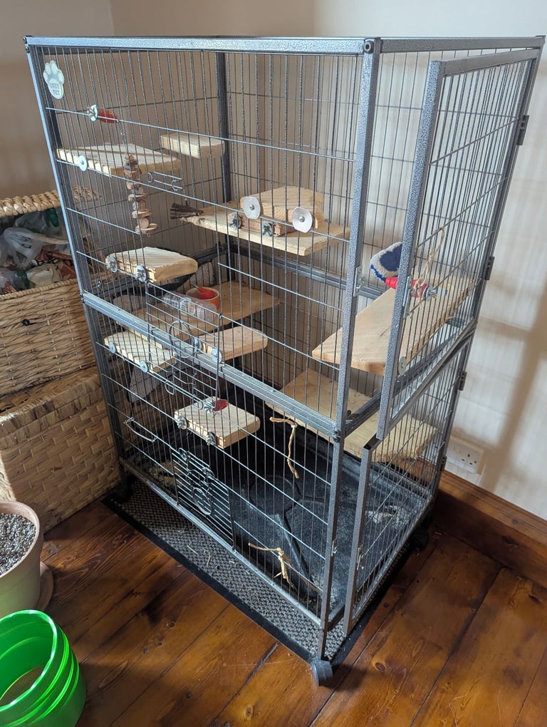 Chinchilla or degu cage