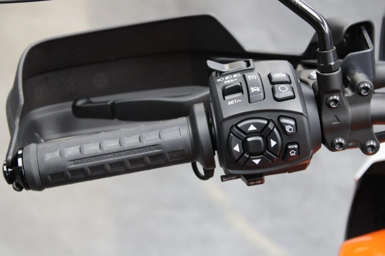 2021 Harley-Davidson RA1250S Pan America Special in Baja Orange White