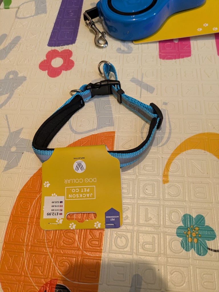 🐶 Jackson.Co Pet Accessories Job Lot – Brand New & Unused! 🐶